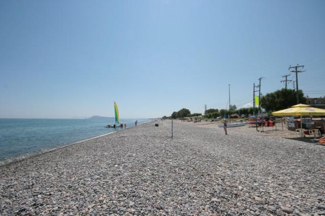 Hotel Castro Beach