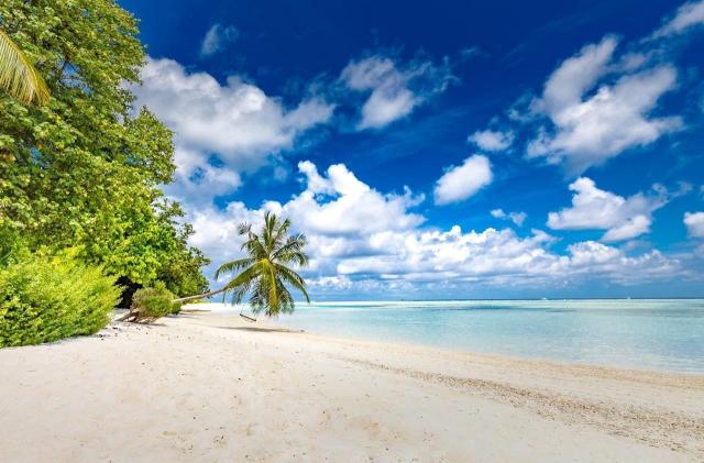 Hotel LUX South Ari Atoll
