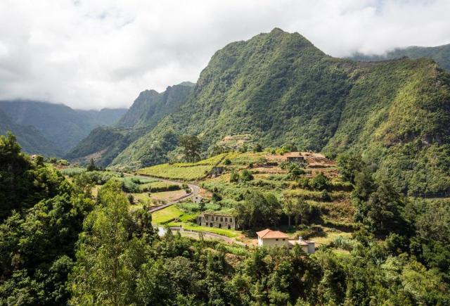 YOUNG & ACTIVE MADeira MADness
