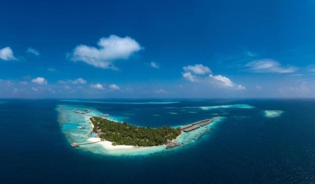 Coco Bodu Hithi