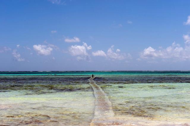 Hotel Karafuu Beach Resort