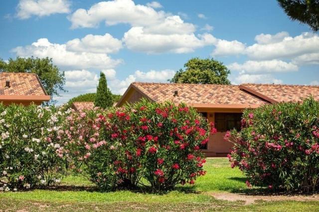 Gitavillage California