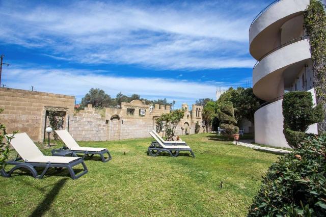 Studia Jimmys Garden