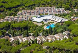 Solemaremma