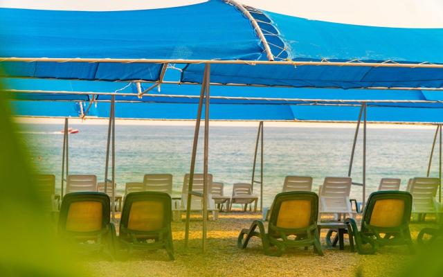 Clover Magic Garden Beach