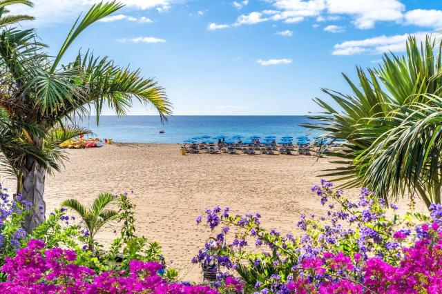Hotel Pocillos Playa