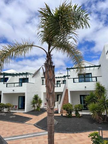 Hotel Pocillos Playa