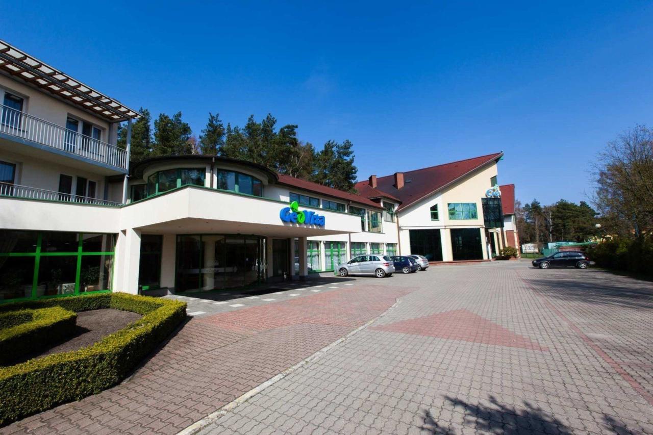 Geovita Dąbki