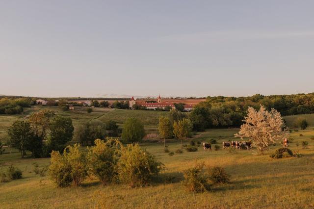 Chateau Bela