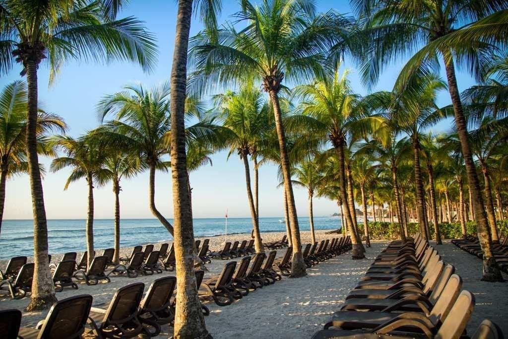 Hotel Sandos Caracol Eco Resort