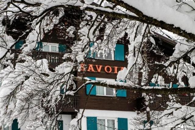 Savoia
