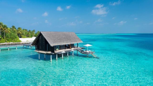 One and Only Reethi Rah