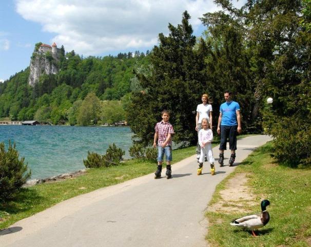 Garni Hotel Savica