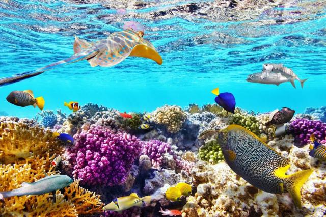 Plavba po Nilu z Marsa Alam