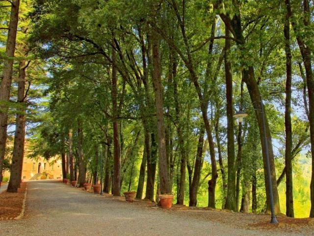 Rezort Borgo di Colleoli