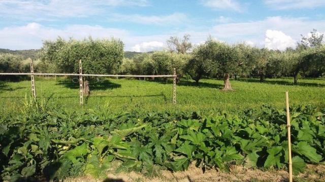 Rezidence Lagolivo
