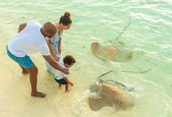 Sun Siyam Vilu Reef