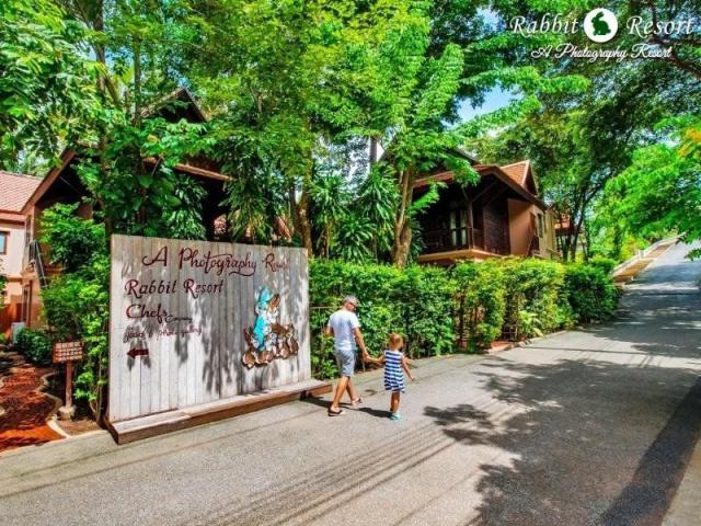 Rabbit Resort