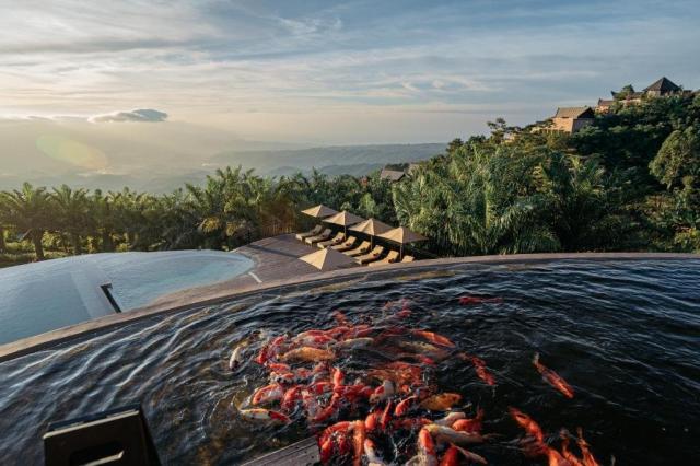 Elevate Bali