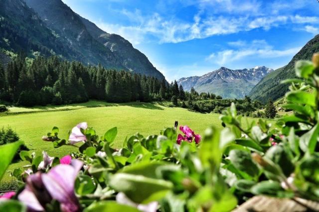 Sport & Vital Hotel Sepp