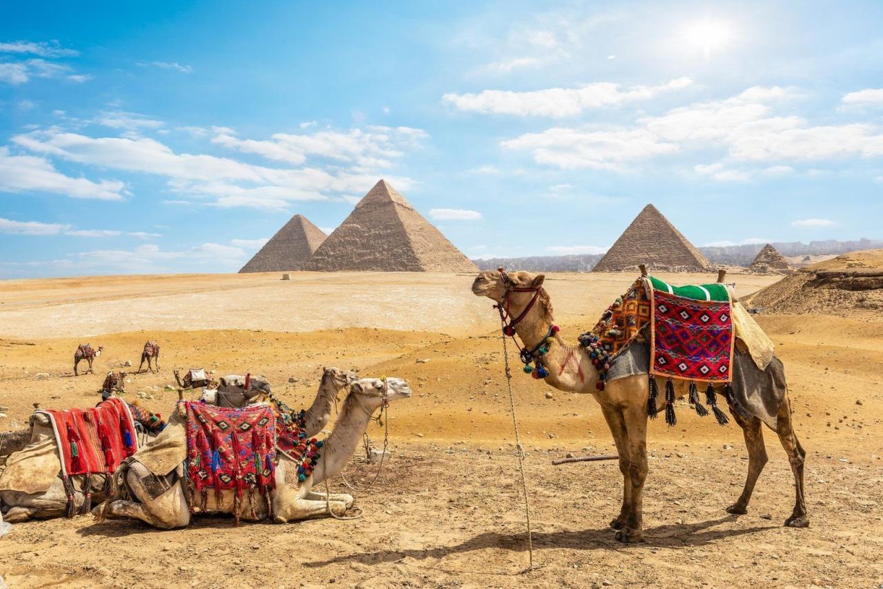 Okruh severním Egyptem & Hotel Jaz Neo Almazino