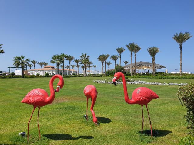 Hotel Ghazala Resort and Spa El Alamein (ex. Rixos Alamein)
