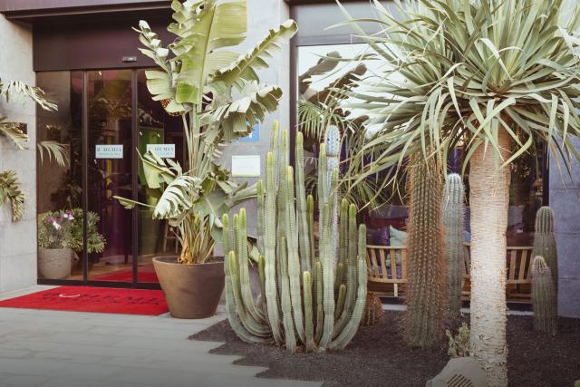 Hotel Bohemia Suites & SPA