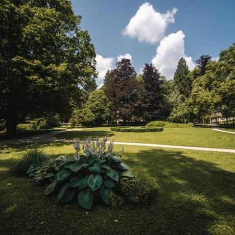 Boutique Hotel Dobrna