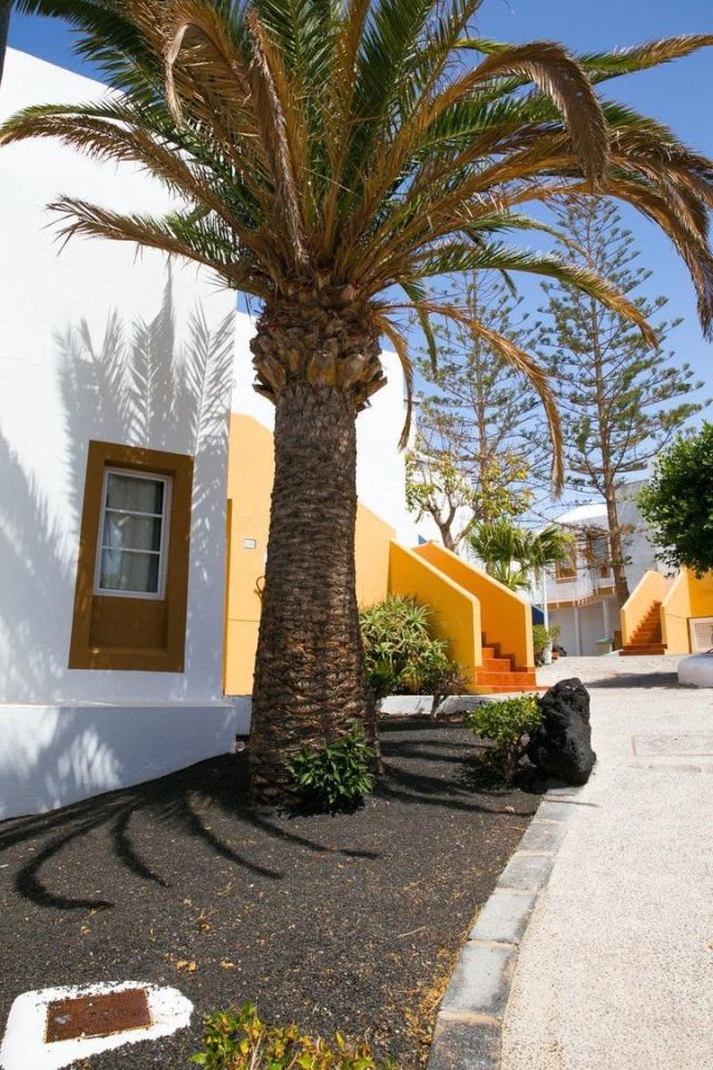 Aparthotel The Morromar