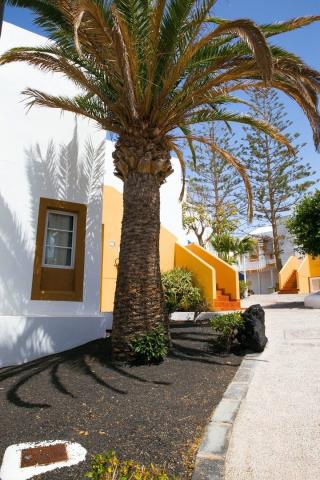 Aparthotel The Morromar