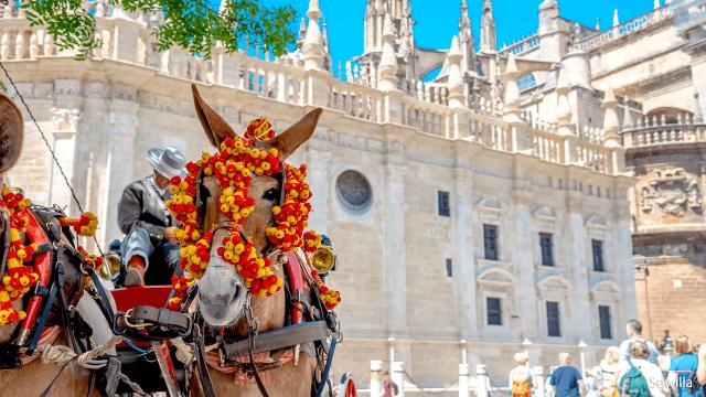 Perly Andalusie & Hotel Sol Don Pablo