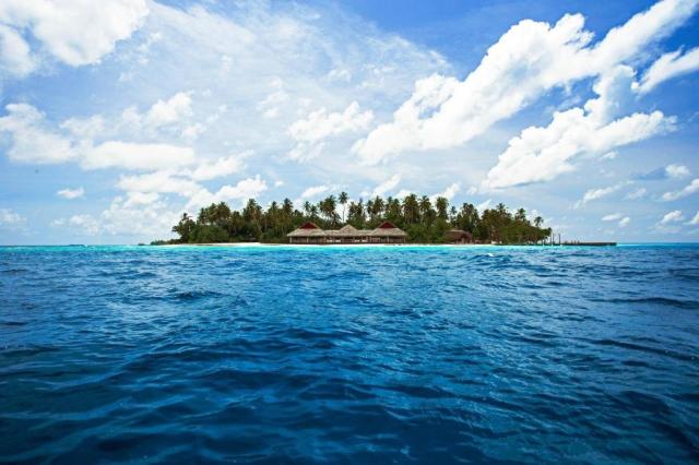 Malahini Kuda Bandos