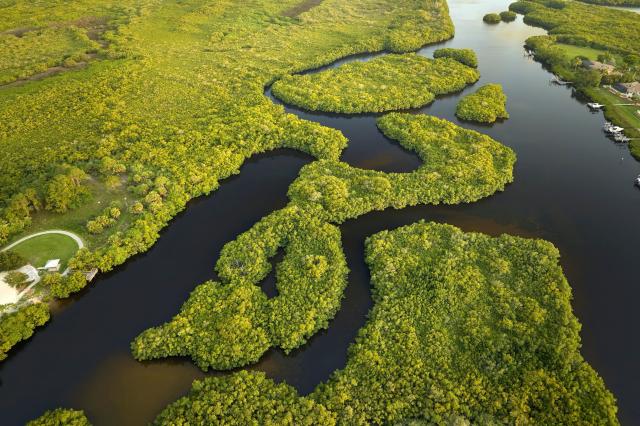 Everglades