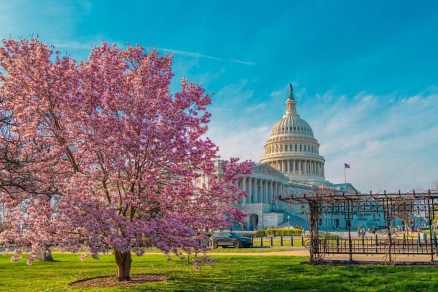 Washington D.C.