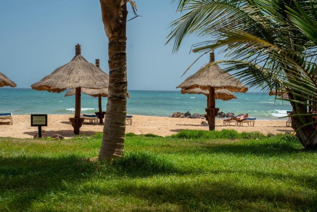 Royal Horizons Baobab