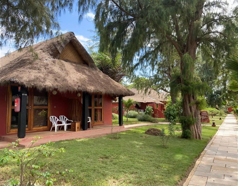 Royal Horizons Baobab