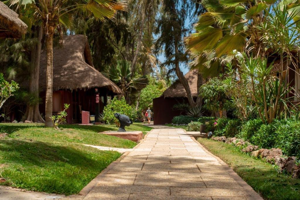 Royal Horizons Baobab