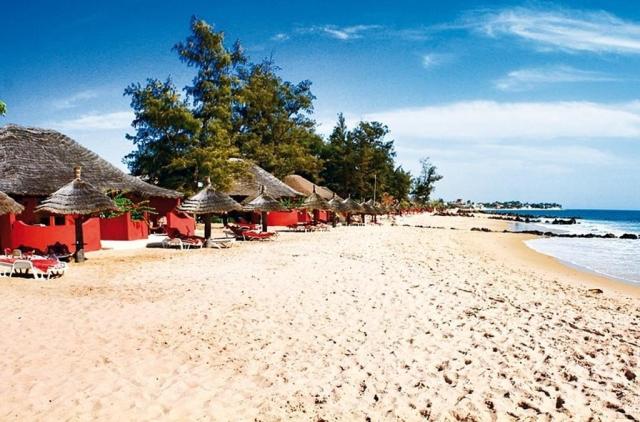 Royal Horizons Baobab