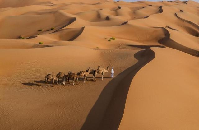 Qasr Al Sarab Desert Resort by Anantara