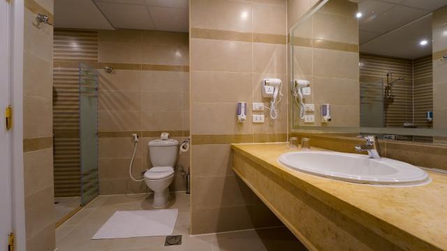 Hotel Regina Resort and Aquapark (ex. Zya Regina Resort & Aqua 