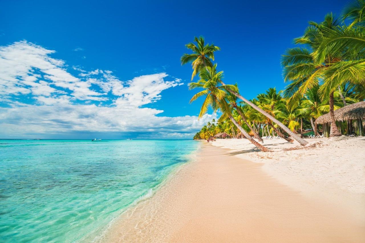 To nejlepší z Karibiku & Hotel Grand Palladium Punta Cana Resort & Spa