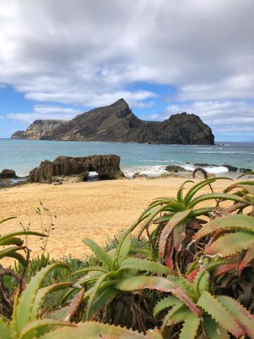 Hotel Pestana Porto Santo Premium All Inclusive Beach & SPA Res