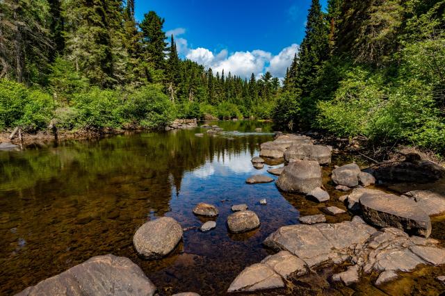 Algonquin Provincial Park