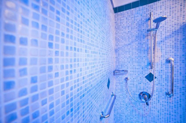 Hotel Mediterraneo Terme