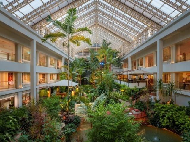 Hotel Dusit Thani Pattaya