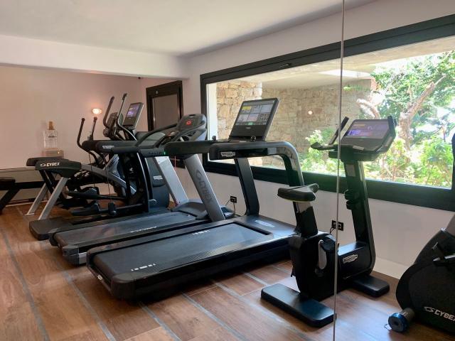 Hotel Myconian Avaton Resort