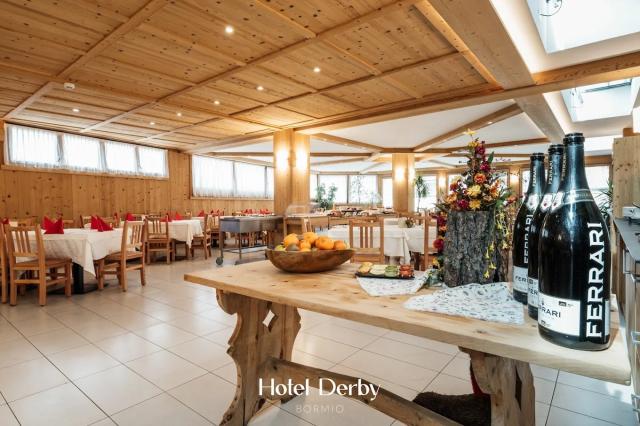 Hotel Derby