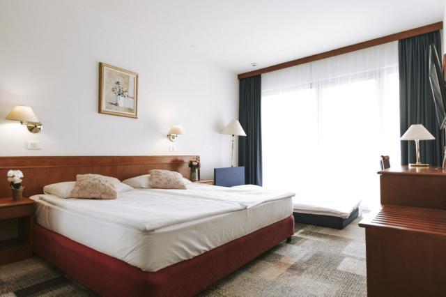 Hotel Toplice