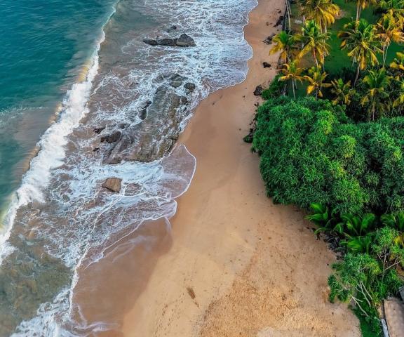 Hotel Sheraton Kosgoda Turtle Beach Resort