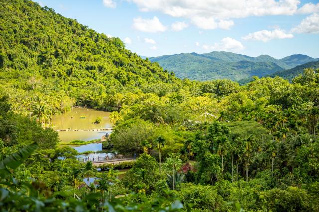Yanoda rainforest
